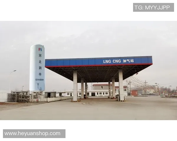 独家解析LNG市场意识的差异与发展趋势探讨