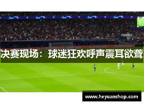 决赛现场：球迷狂欢呼声震耳欲聋