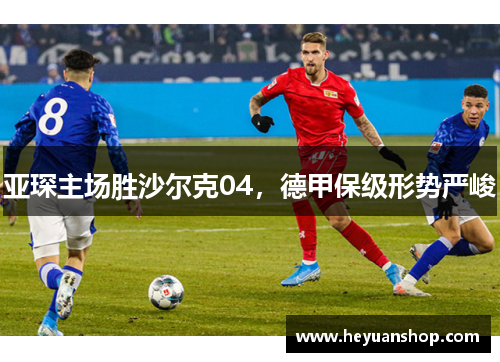 亚琛主场胜沙尔克04，德甲保级形势严峻